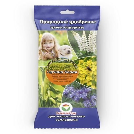 Горчица белая 500г (35шт) СибСад