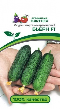 Огурец Бьерн F1 5шт Партнер