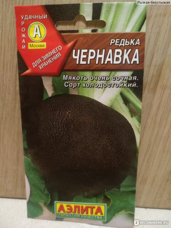 Редька Чернавка 1гр Аэлита