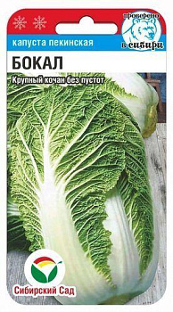 Капуста пекинская Бокал 0,2гр Сиб сад
